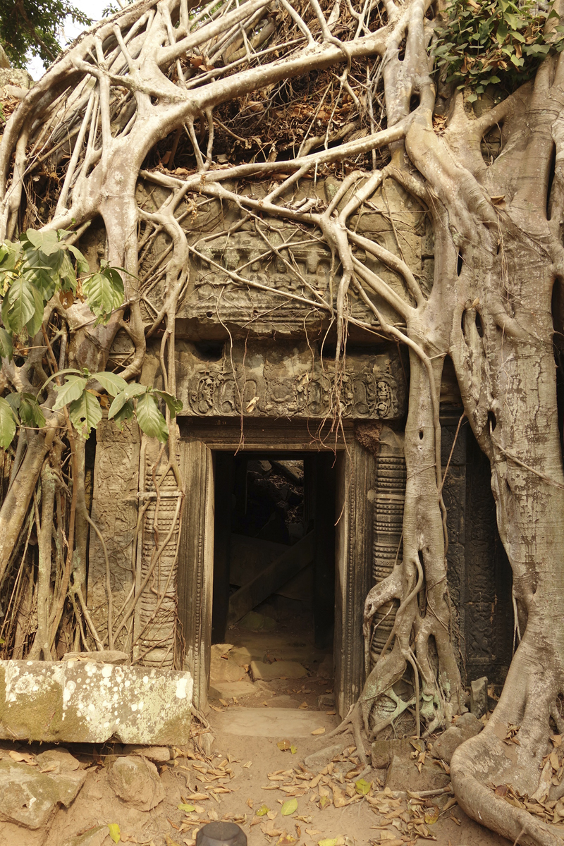 Visite des temples d'Angkor à Siem Reap au Cambodge