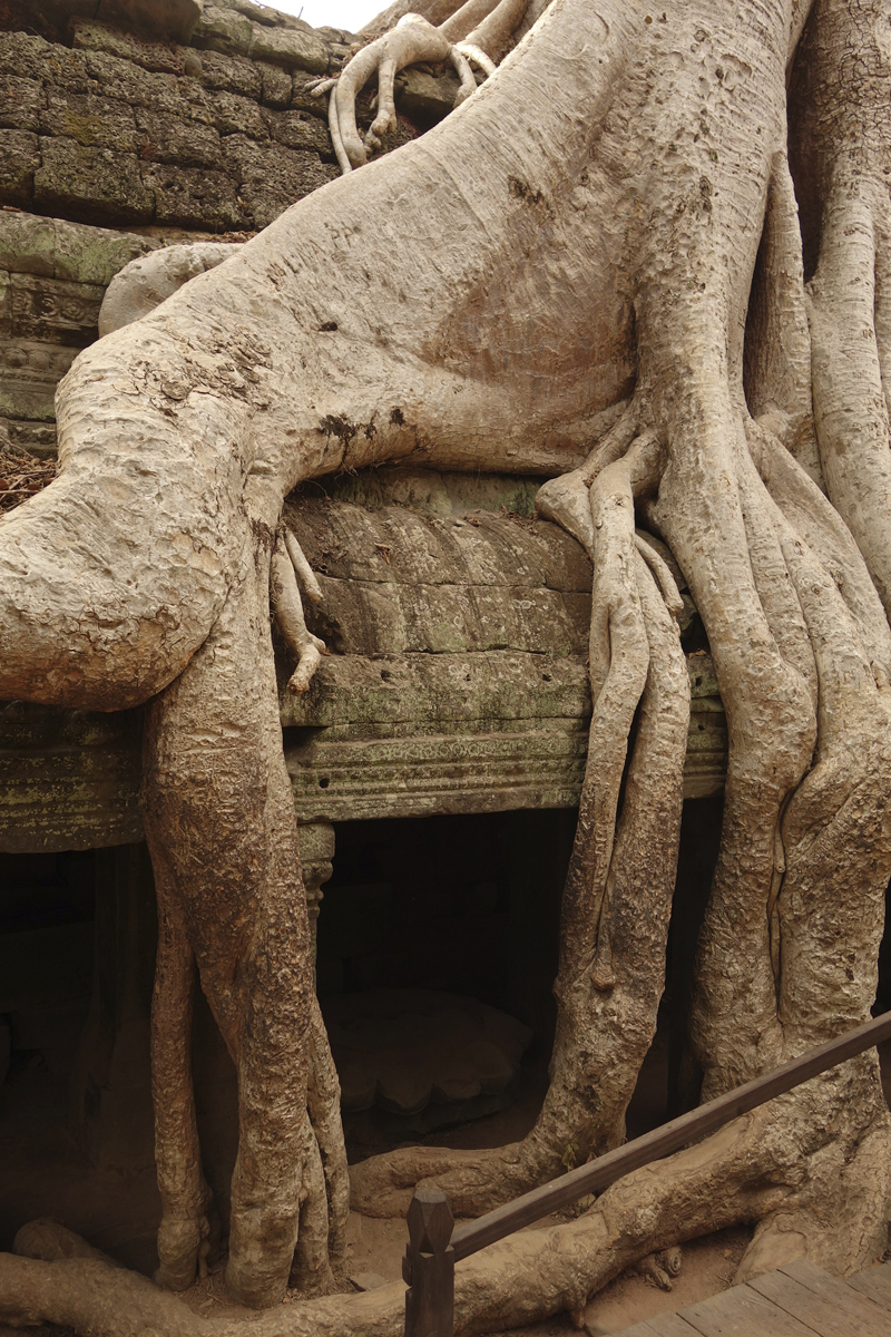 Visite des temples d'Angkor à Siem Reap au Cambodge