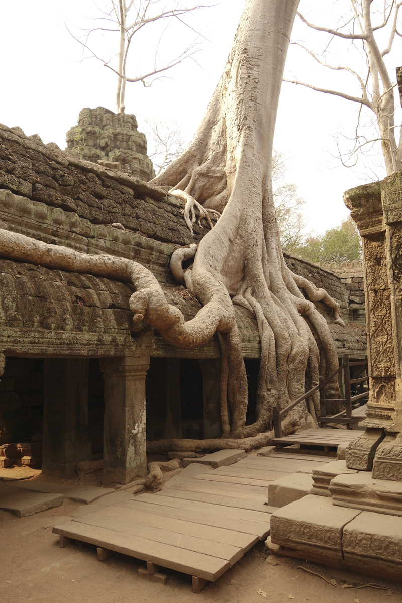 Visite des temples d'Angkor à Siem Reap au Cambodge