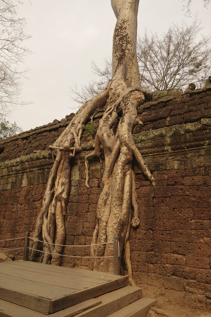 Visite des temples d'Angkor à Siem Reap au Cambodge