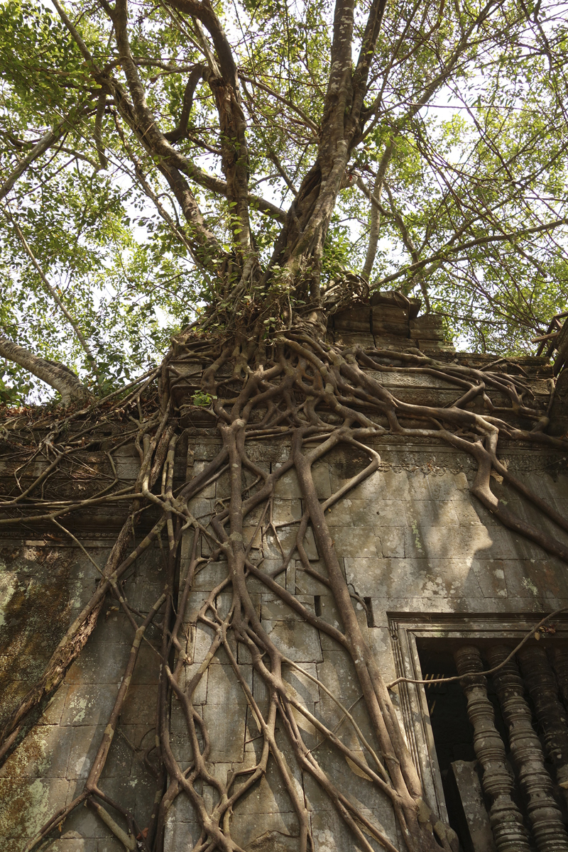 Mon voyage au temple de Beng Méaléa au Cambodge