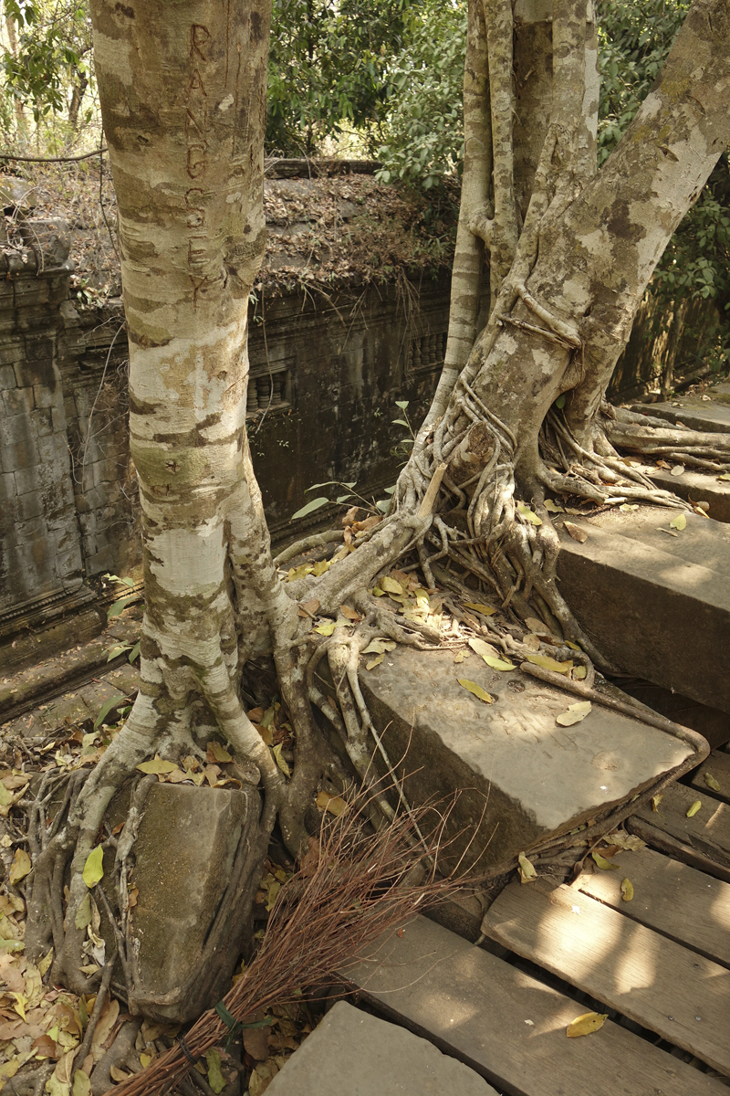 Mon voyage au temple de Beng Méaléa au Cambodge