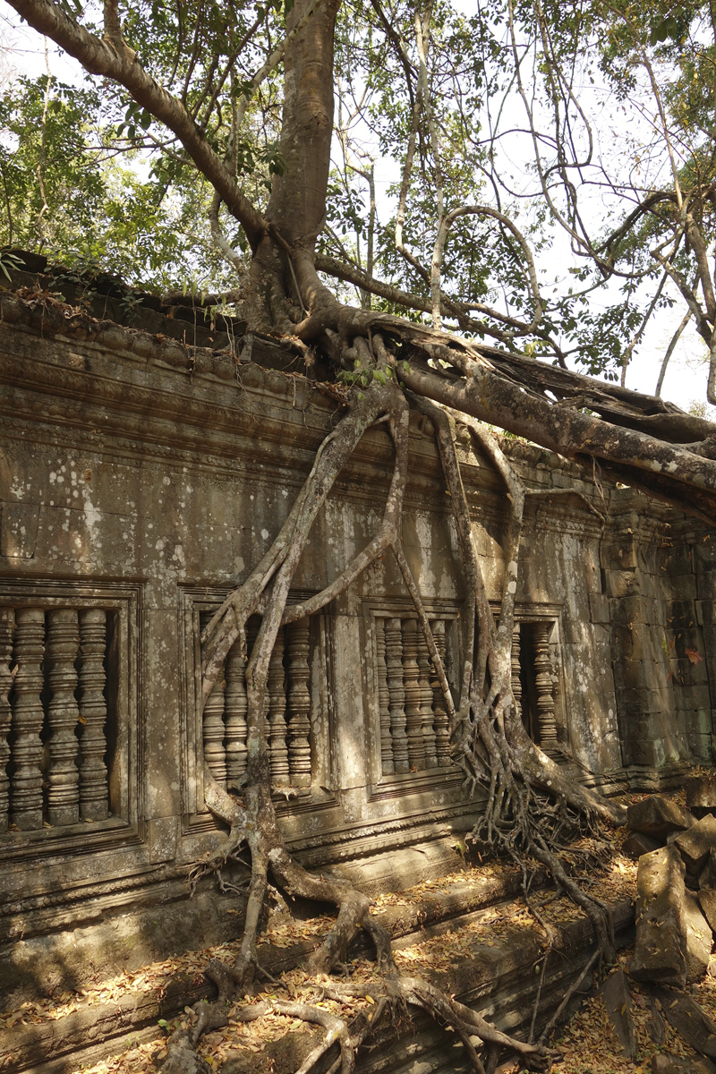 Mon voyage au temple de Beng Méaléa au Cambodge