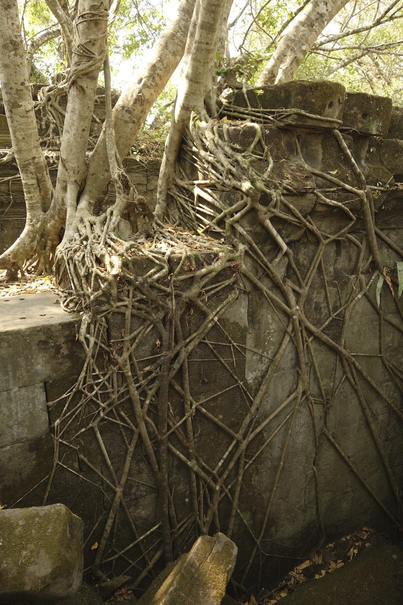 Mon voyage au temple de Beng Méaléa au Cambodge