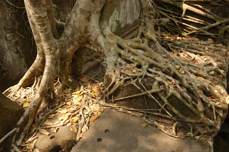 Mon voyage au temple de Beng Méaléa au Cambodge