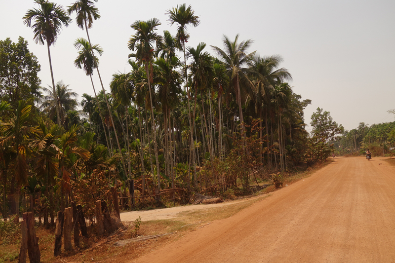 Mon voyage au temple de Beng Méaléa au Cambodge