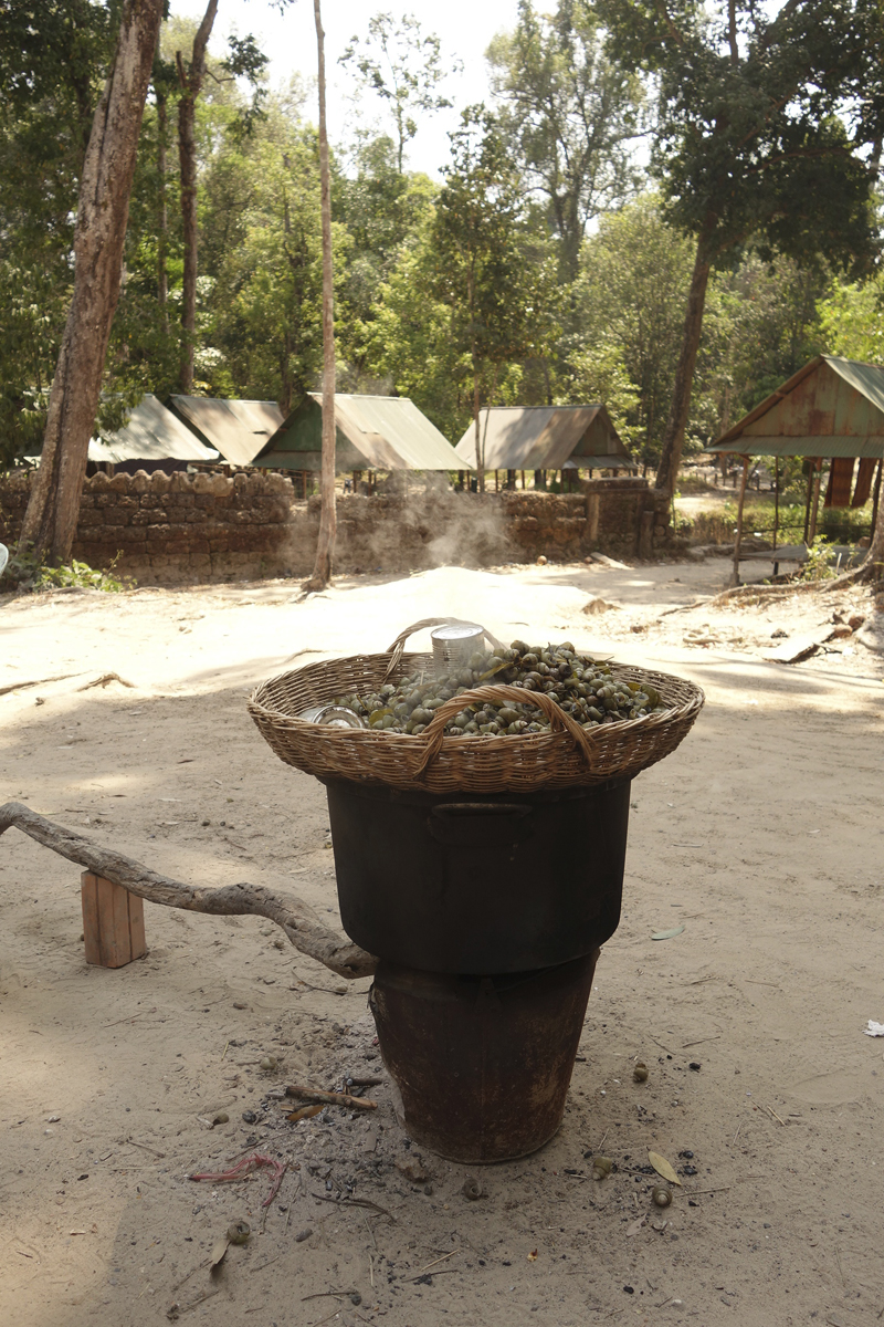 Mon voyage à Phnom Kulen au Cambodge