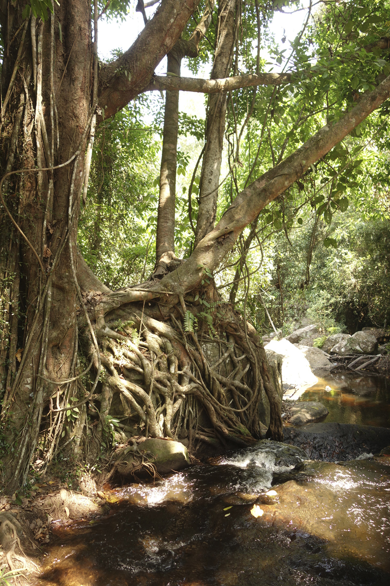 Mon voyage à Phnom Kulen au Cambodge