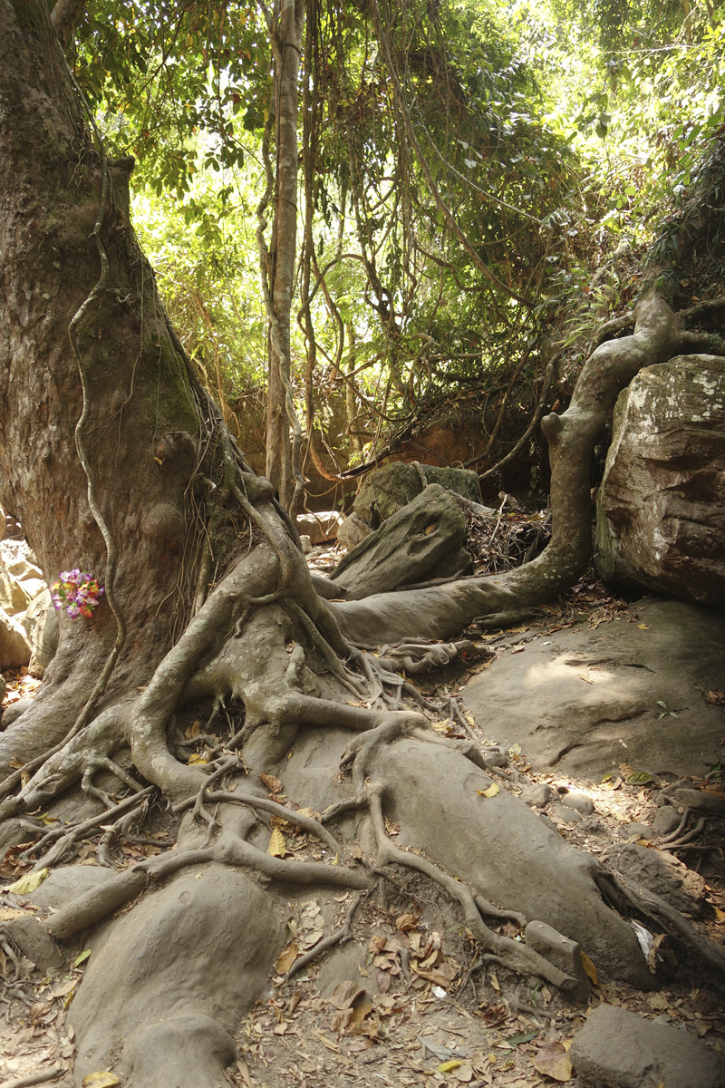 Mon voyage à Phnom Kulen au Cambodge