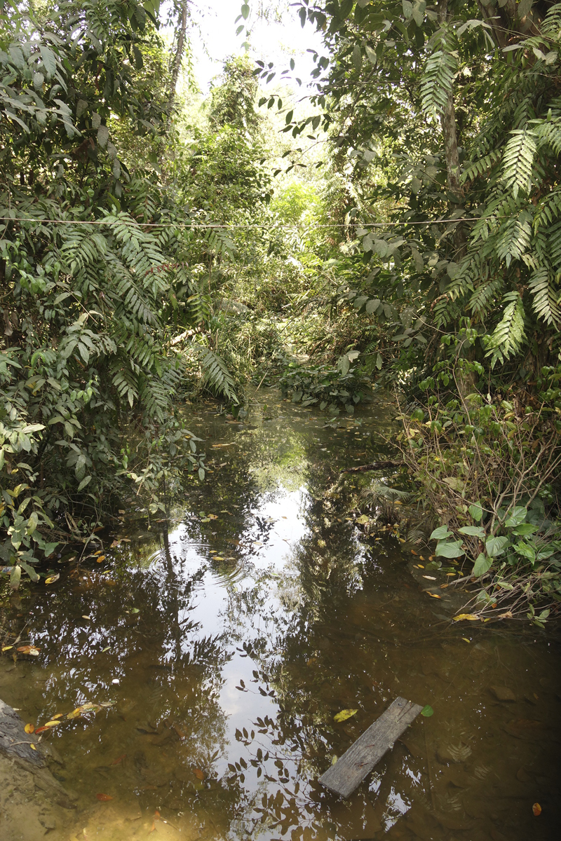 Mon voyage à Phnom Kulen au Cambodge