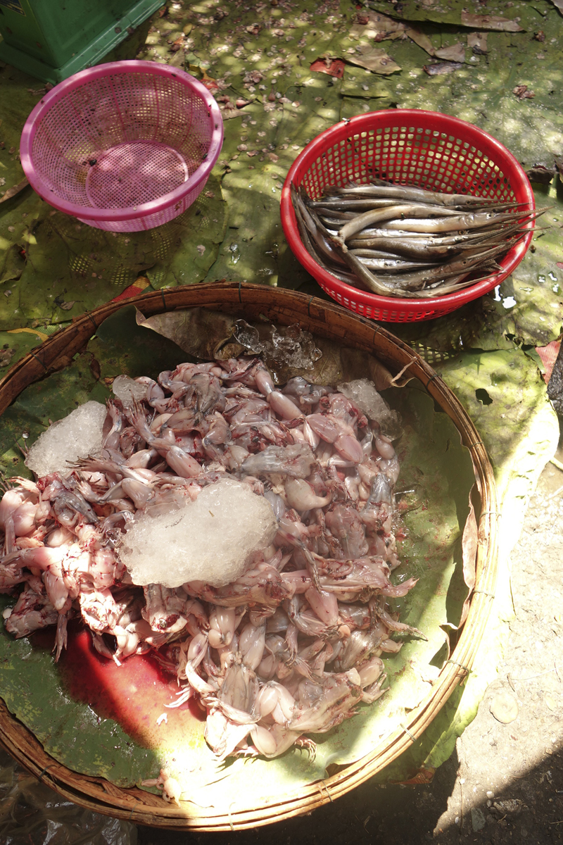 Mon voyage à Phnom Penh au Cambodge