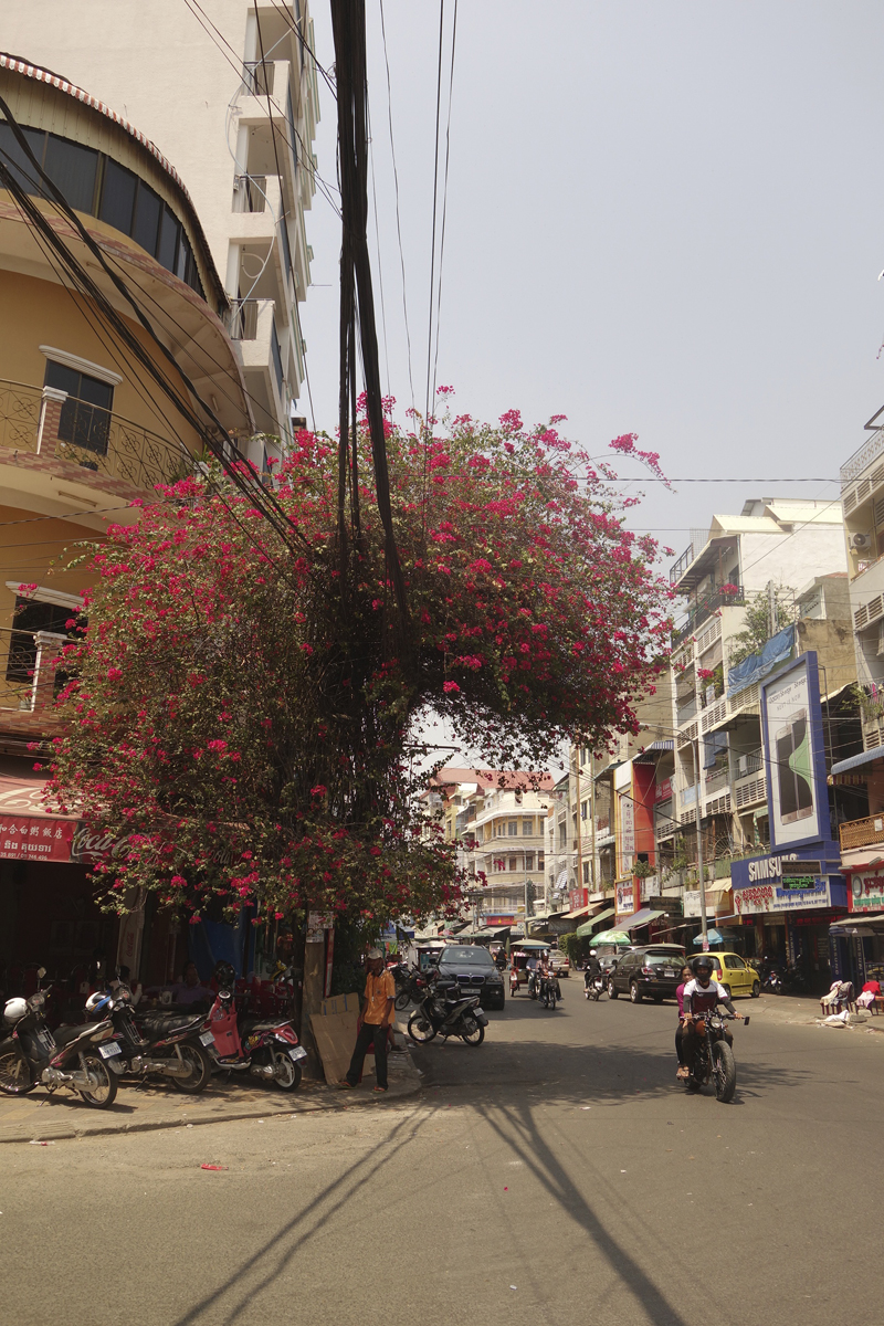 Mon voyage à Phnom Penh au Cambodge