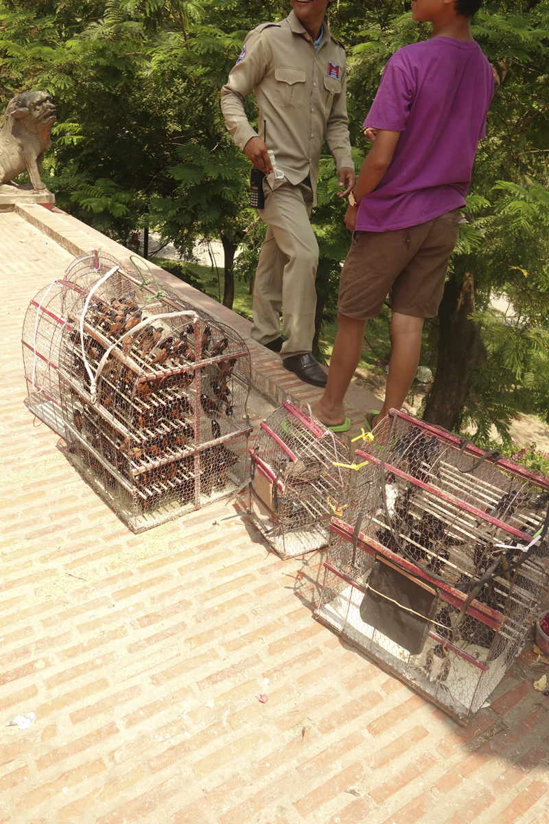 Mon voyage au Cambodge, le temple Wat Phnom