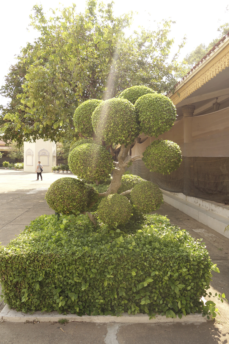 Mon voyage au Cambodge, le Palais Royal et la Pagode d'argent