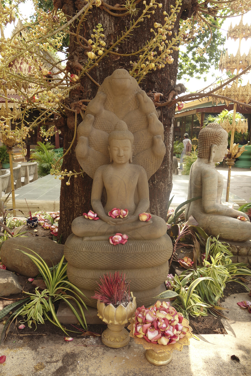 Mon voyage au Cambodge, le Palais Royal et la Pagode d'argent