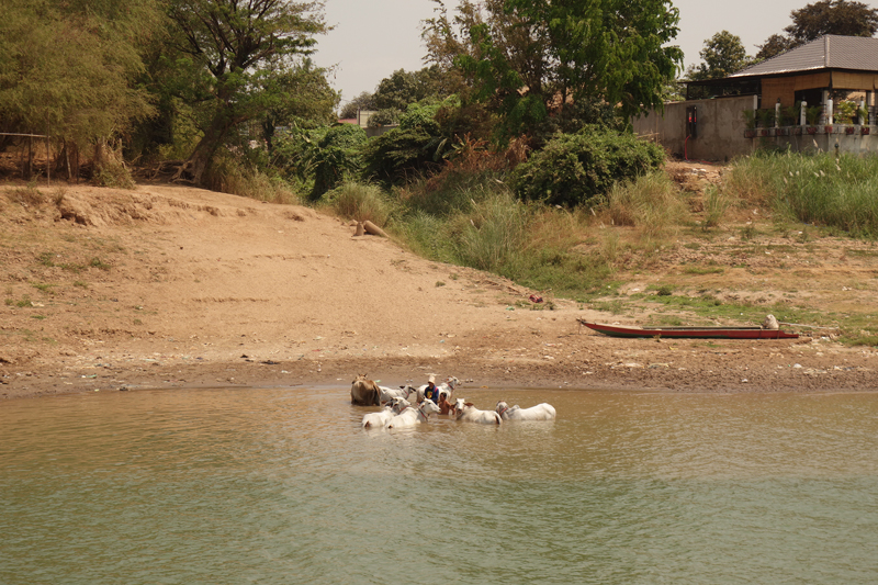 Mon voyage au Cambodge, Silk Island