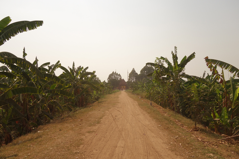 Mon voyage au Cambodge, Silk Island