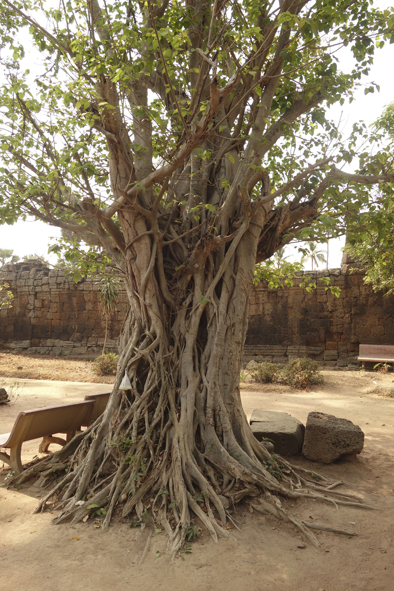 Mon voyage au Cambodge Tonle Bati