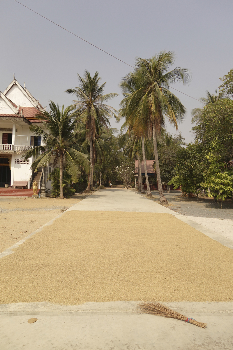 Mon voyage au Cambodge Tonle Bati