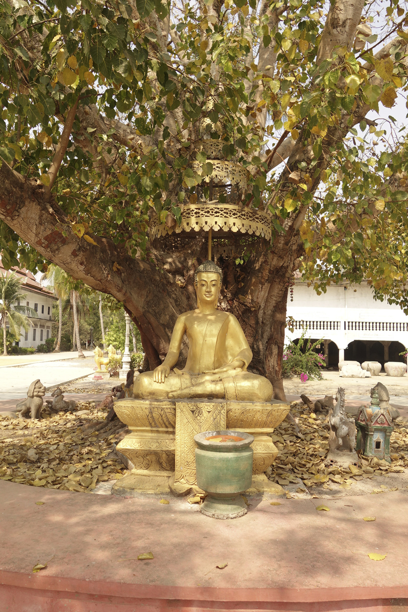 Mon voyage au Cambodge Tonle Bati