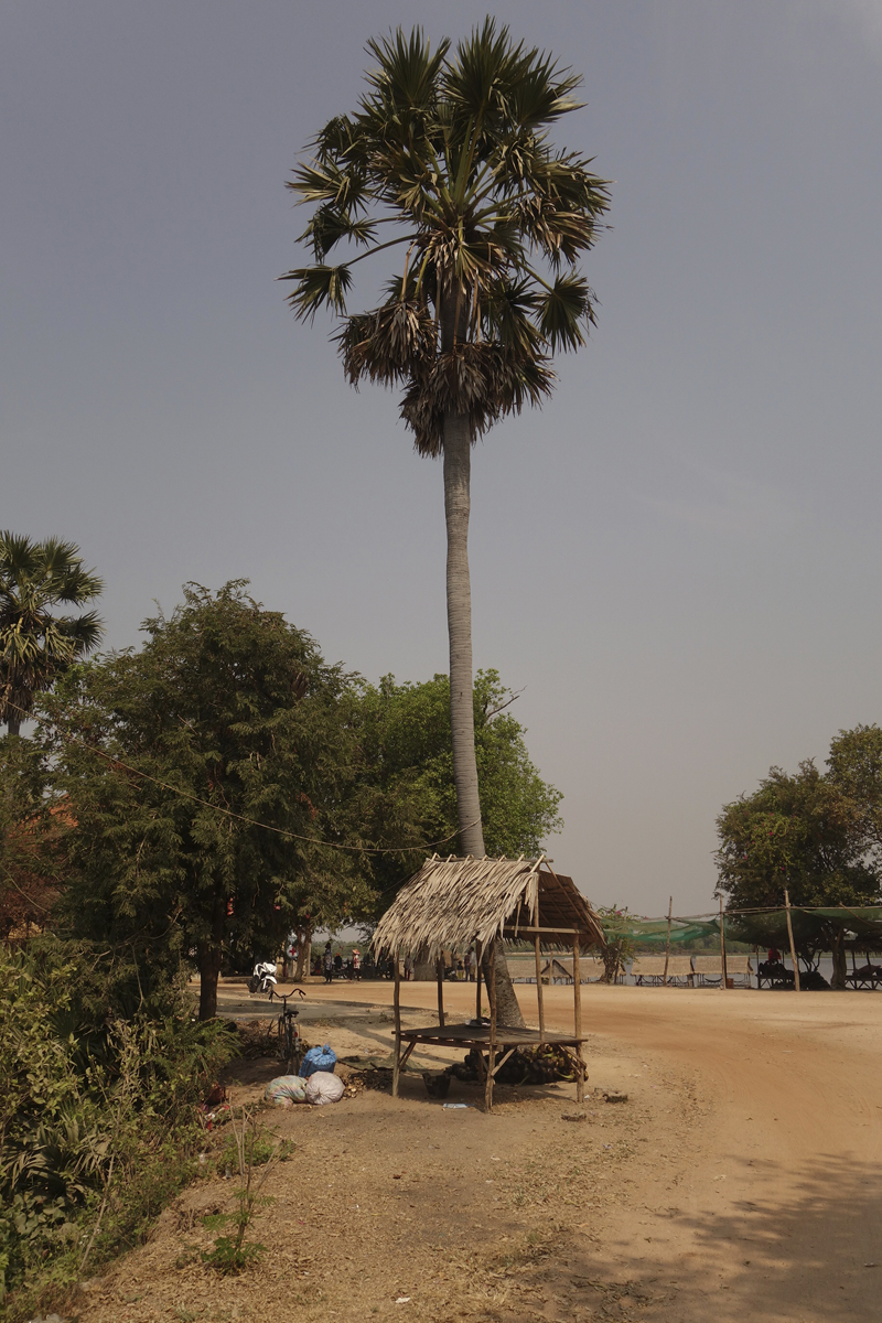 Mon voyage au Cambodge Tonle Bati