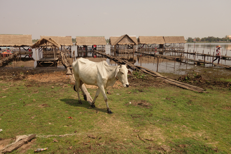 Mon voyage au Cambodge Tonle Bati