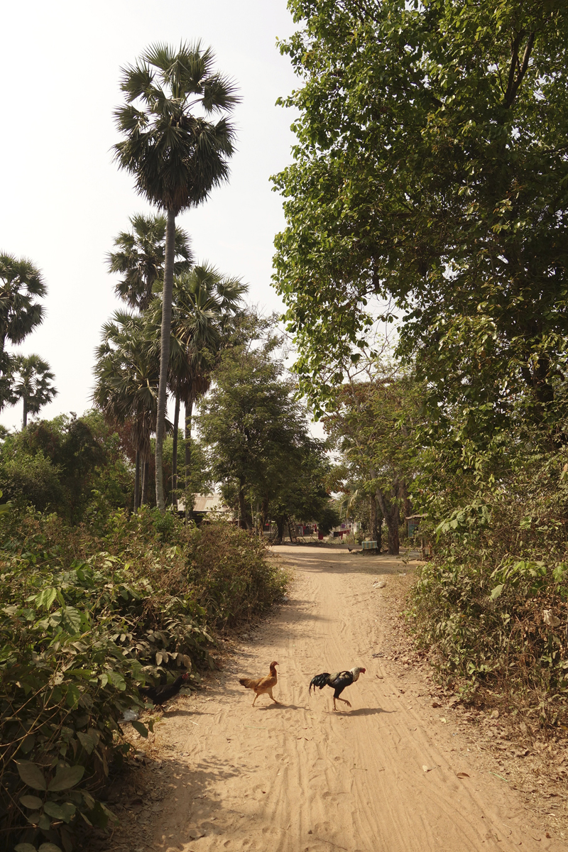 Mon voyage au Cambodge Tonle Bati