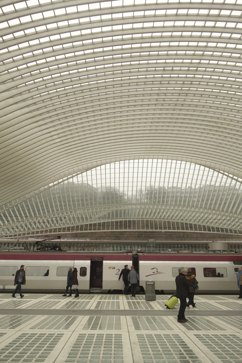 gare TGV de Liège-Guillemins à Liège en Belgique réalisée en 2009 par l'architecte Santiago Calatrava Valls