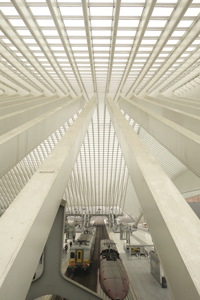 gare TGV de Liège-Guillemins à Liège en Belgique réalisée en 2009 par l'architecte Santiago Calatrava Valls