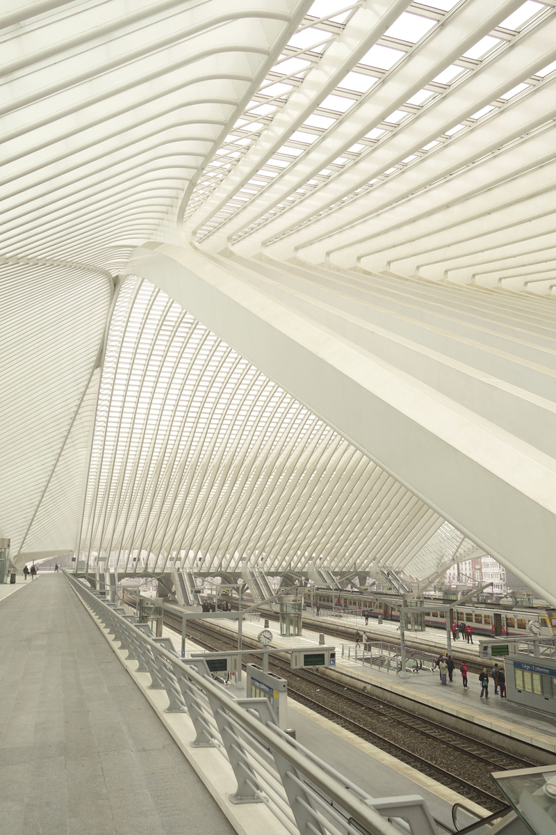 gare TGV de Liège-Guillemins à Liège en Belgique réalisée en 2009 par l'architecte Santiago Calatrava Valls