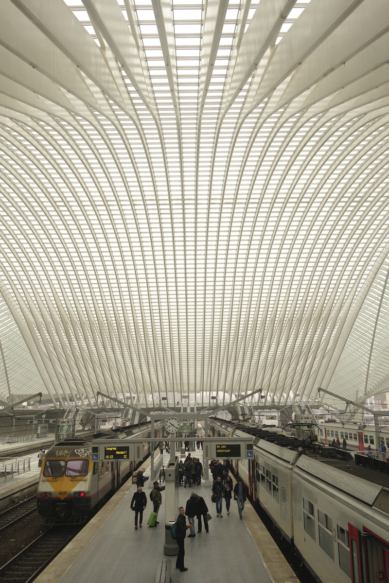 gare TGV de Liège-Guillemins à Liège en Belgique réalisée en 2009 par l'architecte Santiago Calatrava Valls