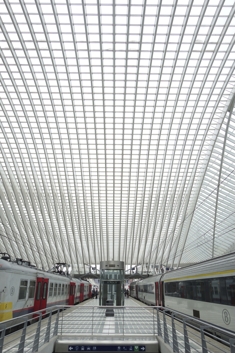 gare TGV de Liège-Guillemins à Liège en Belgique réalisée en 2009 par l'architecte Santiago Calatrava Valls