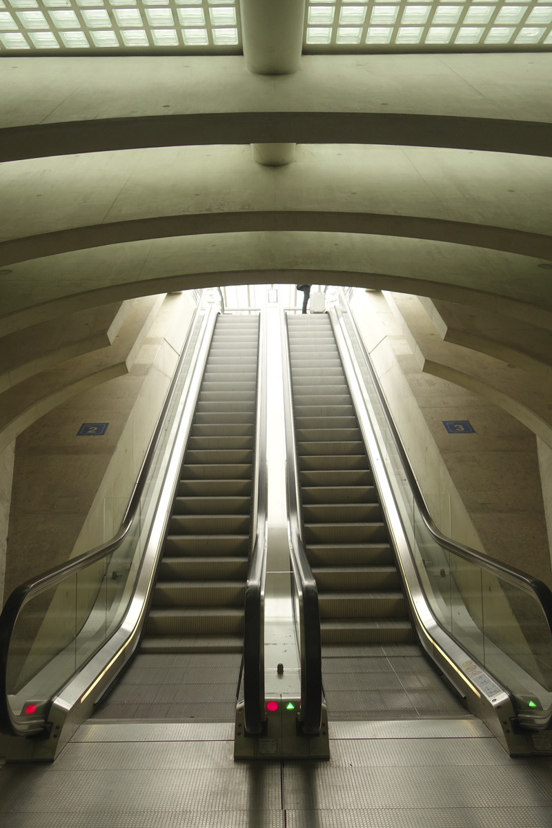 gare TGV de Liège-Guillemins à Liège en Belgique réalisée en 2009 par l'architecte Santiago Calatrava Valls