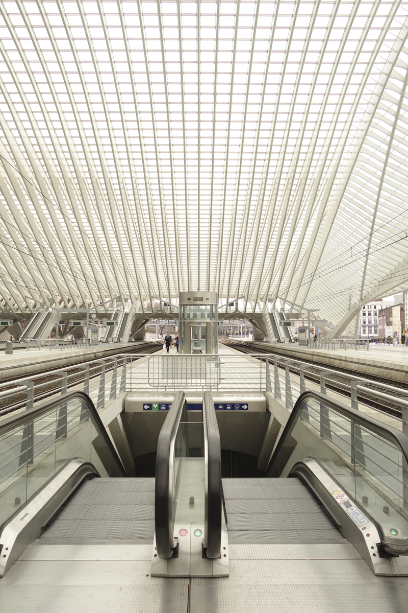 gare TGV de Liège-Guillemins à Liège en Belgique réalisée en 2009 par l'architecte Santiago Calatrava Valls