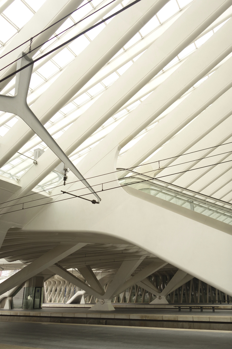 gare TGV de Liège-Guillemins à Liège en Belgique réalisée en 2009 par l'architecte Santiago Calatrava Valls