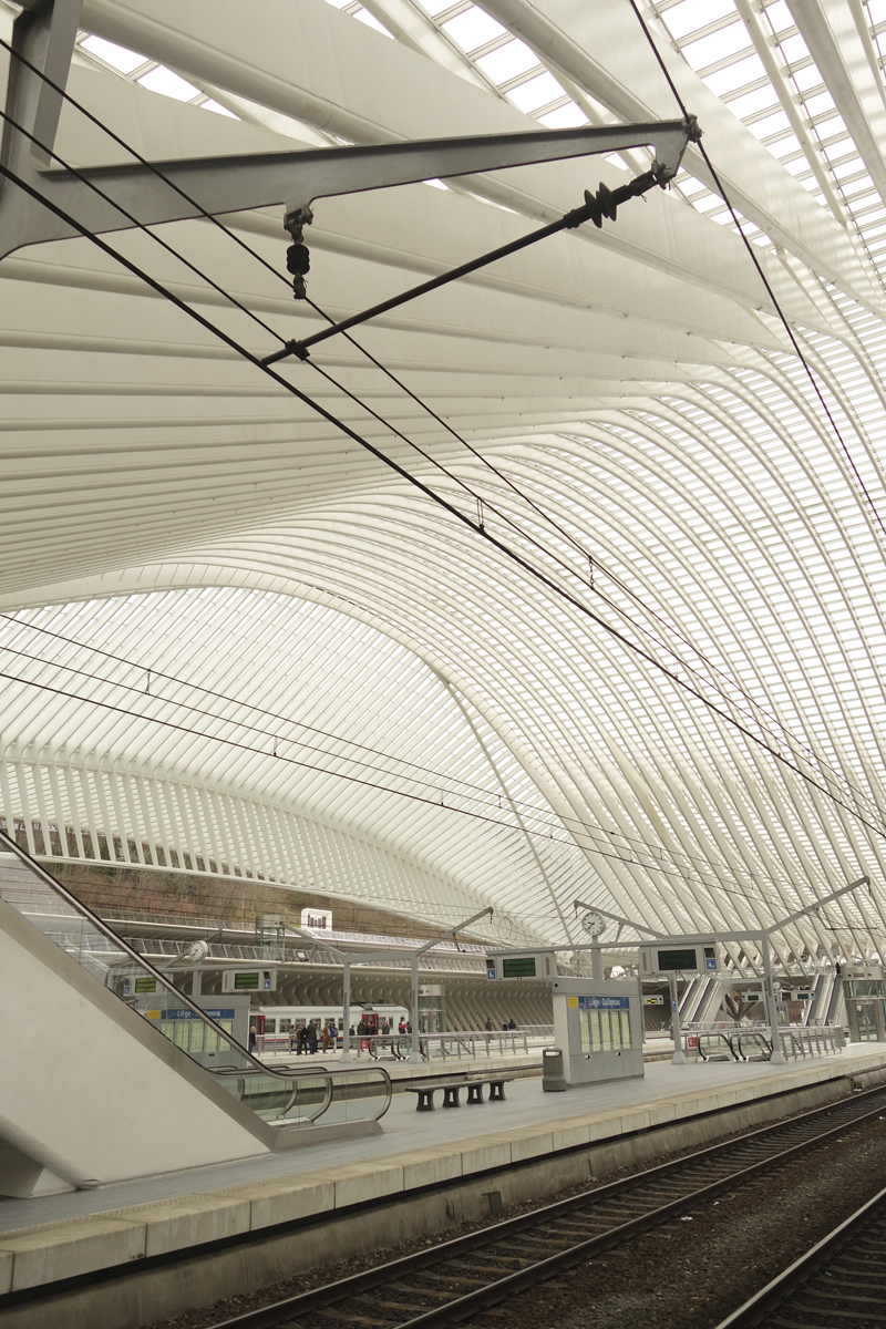 gare TGV de Liège-Guillemins à Liège en Belgique réalisée en 2009 par l'architecte Santiago Calatrava Valls