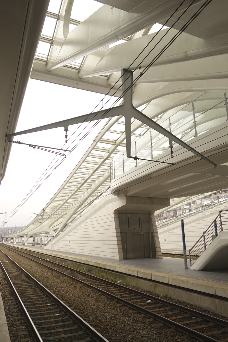 gare TGV de Liège-Guillemins à Liège en Belgique réalisée en 2009 par l'architecte Santiago Calatrava Valls