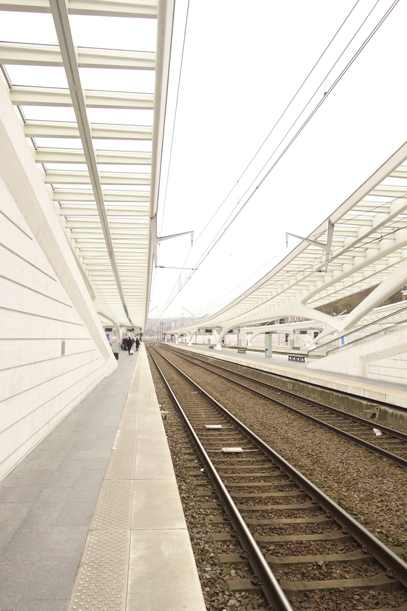 gare TGV de Liège-Guillemins à Liège en Belgique réalisée en 2009 par l'architecte Santiago Calatrava Valls