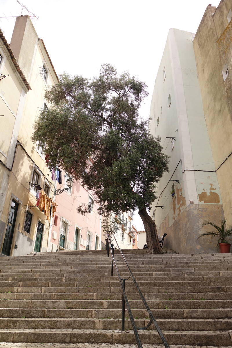 Mon voyage à Lisbonne au Portugal