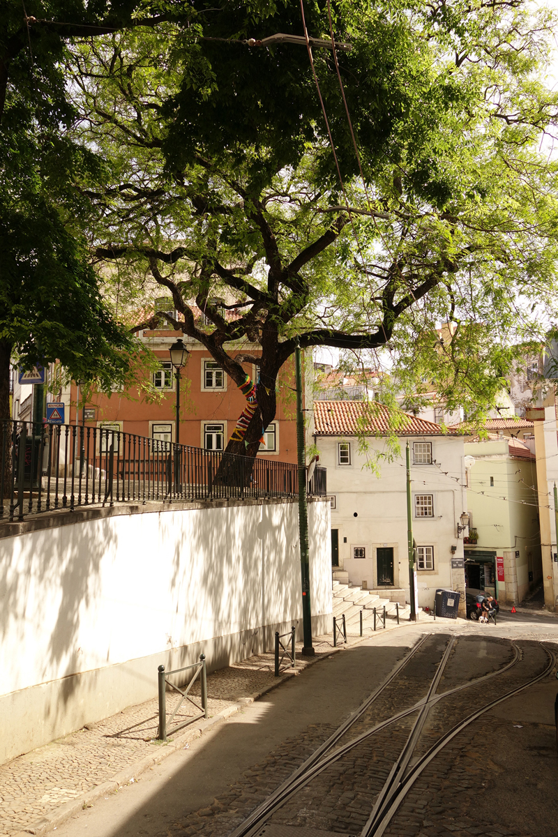 Mon voyage à Lisbonne au Portugal