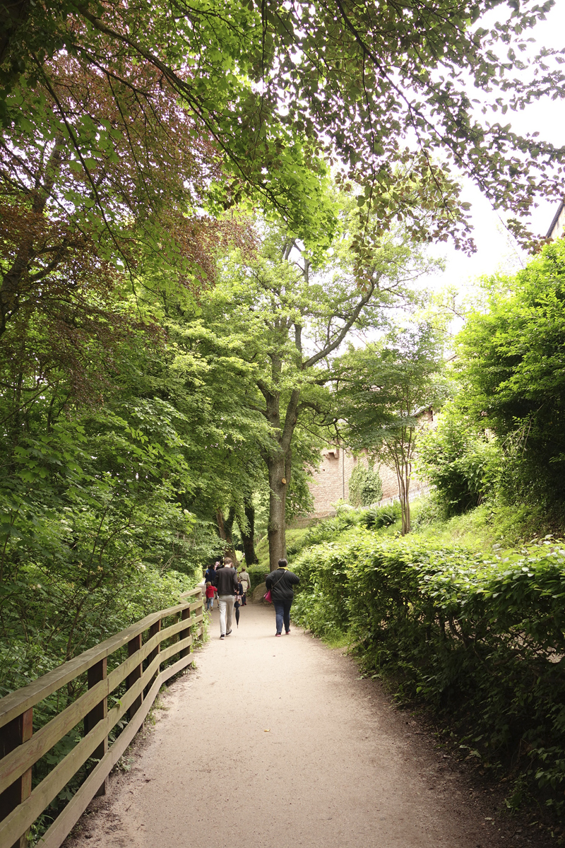 Mon voyage à Haut-Koenigsbourg en france