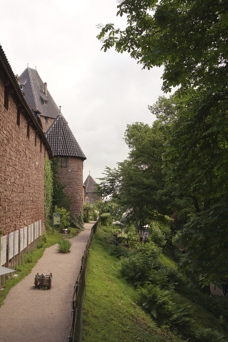 Mon voyage à Haut-Koenigsbourg en france