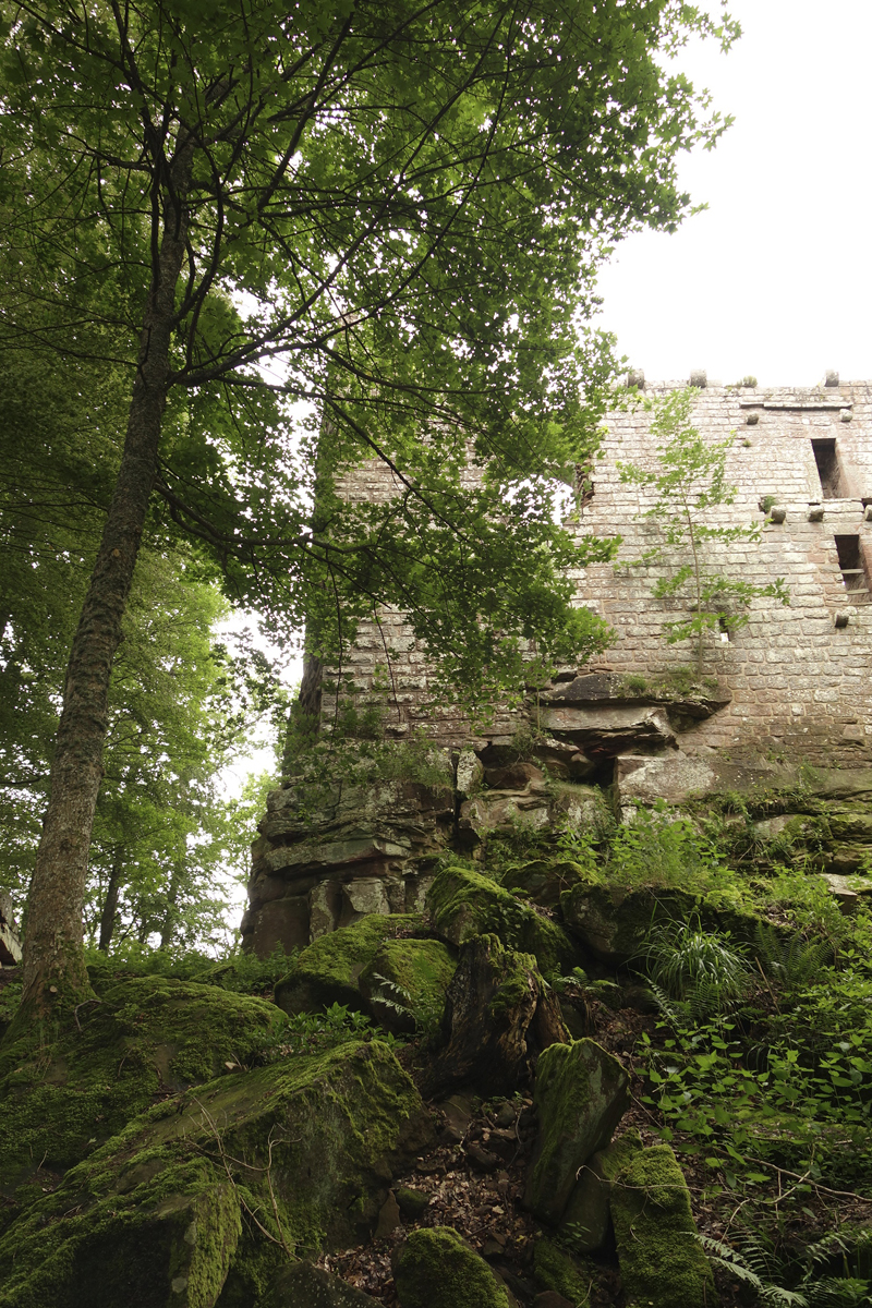 Mon voyage à Haut-Koenigsbourg en france