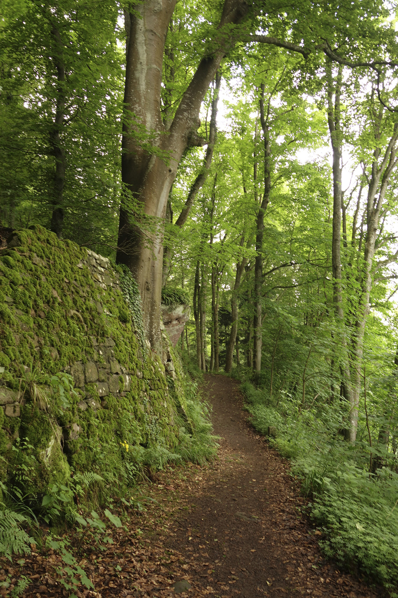 Mon voyage à Haut-Koenigsbourg en france