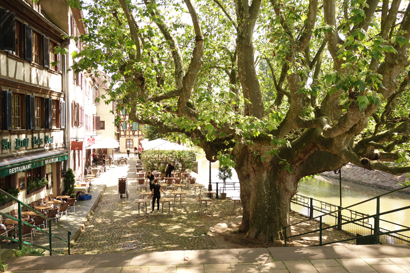 Mon voyage à Strasbourg en France