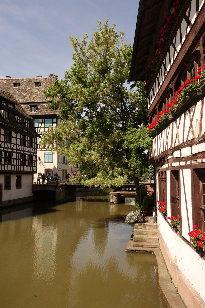 Mon voyage à Strasbourg en France