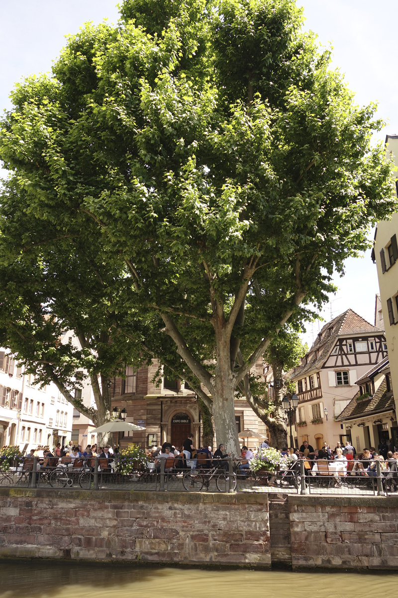 Mon voyage à Strasbourg en France