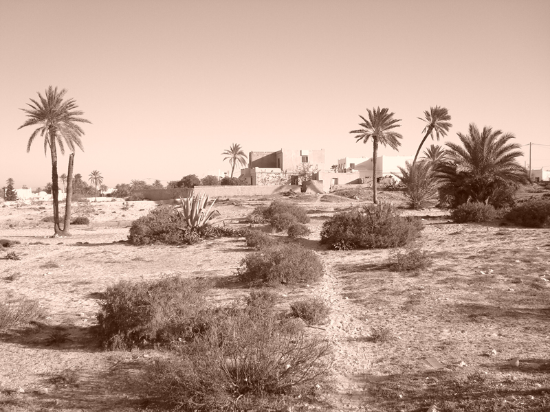 Mon voyage en Tunisie Djerba