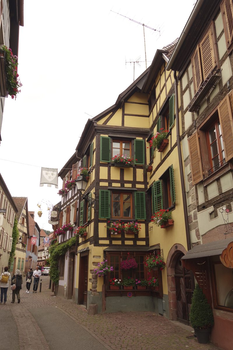 Mon voyage à Ribauvillé en Alsace en France