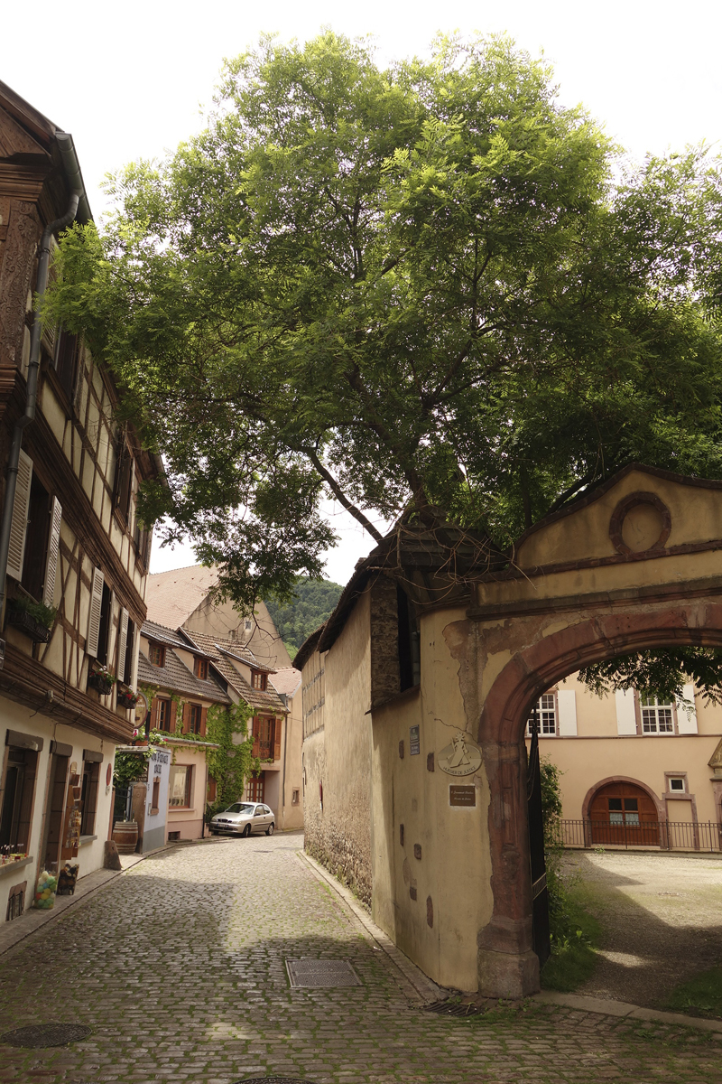 Mon voyage à Kaysersberg en Alsace en France